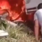 Surgem imagens fortes de resgate de sobrevivente de acidente aéreo em SP (veja o vídeo)