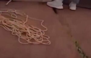 Vídeo mostra desespero após queda de mulher em rope jump (veja o vídeo)