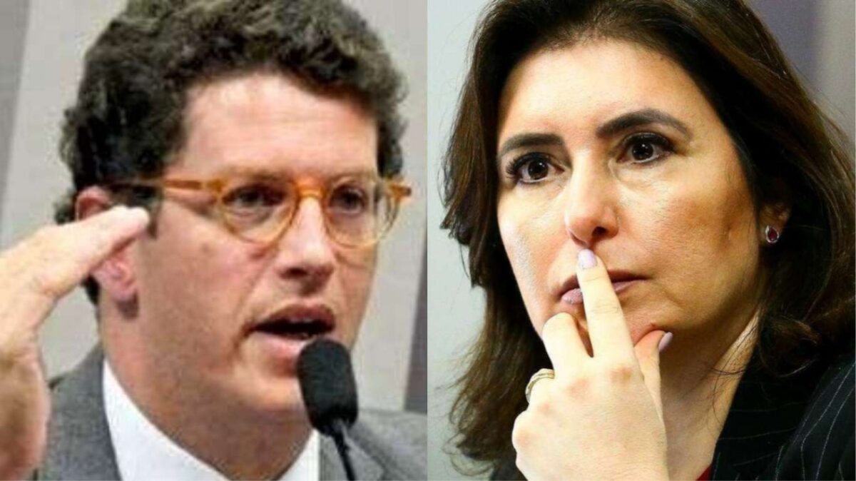 Cara de pau, Simone tenta se passar por cidadã paulista e Salles não perdoa (veja o vídeo)
