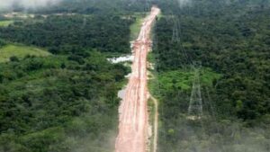 Ativismo climático condena Amazônia à pobreza, afirma senador