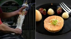 Brasil veta produção e venda e iguaria presente em grandes restaurantes do país