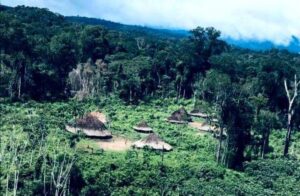 Conflito armado dentro da Terra Yanomami mata 3 crianças, de 4, 6 e 8 anos. Responsáveis precisam ser penalizados