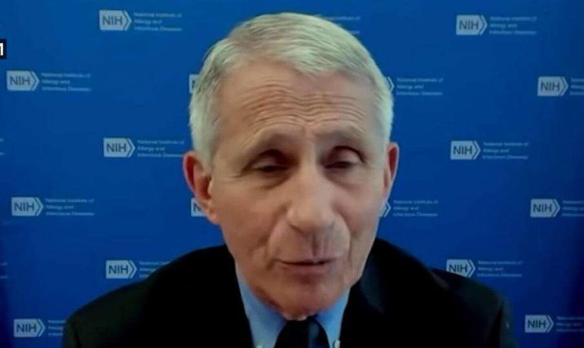 Senador Ted Cruz exige a prisão de Anthony Fauci: Mentiu deliberadamente para o povo americano